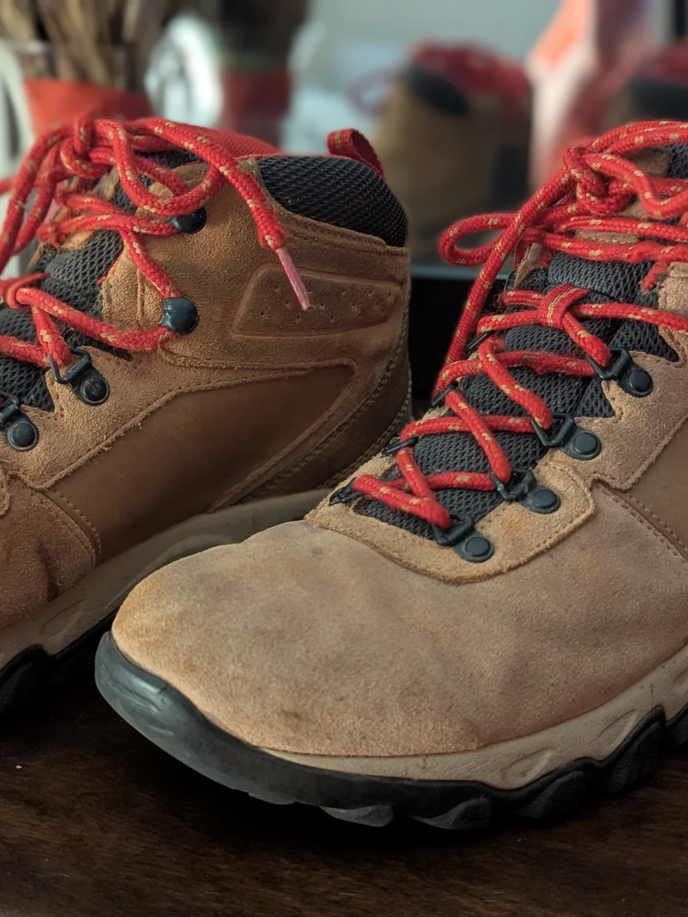 Columbia Newton Ridge Plus II Men's 11 Suede Waterproof Hiking Boots BM2812-286